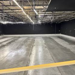 20250307_144847703_iOS